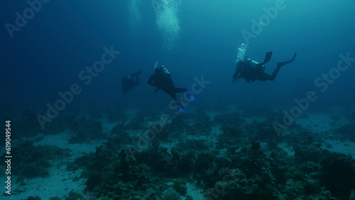 Group of scuba divers swims in depths of the sea, back view, Red sea, Egypt © Andriy Nekrasov
