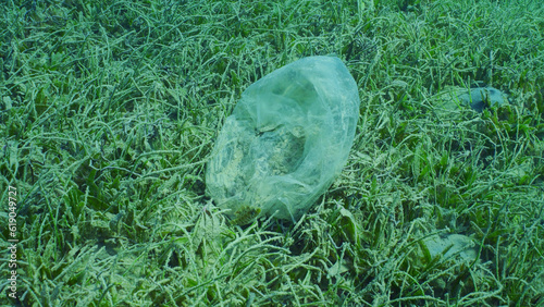 Old disposable plastic bad lies on seagrass meadow on Round Leaf Sea Grass or Noodle seagrass (Syringodium isoetifolium) Red sea, Safaga, Egypt