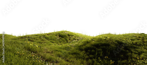 Fototapeta Naklejka Na Ścianę i Meble -  Hills with grass with dandelions on a transparent background. 3D rendering.