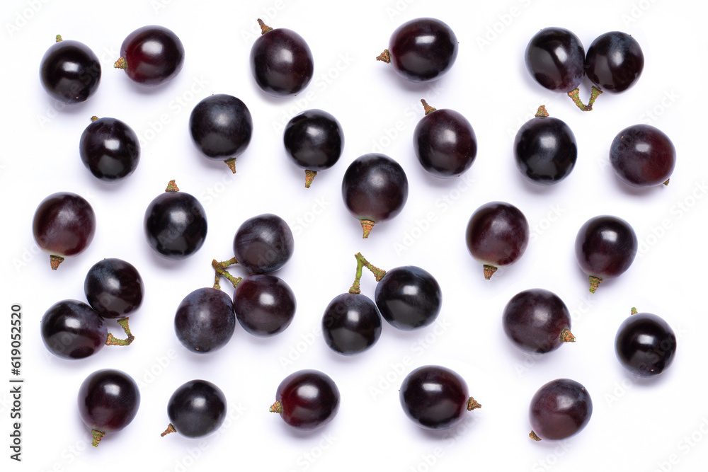 black grapes on white background black grapes on white background