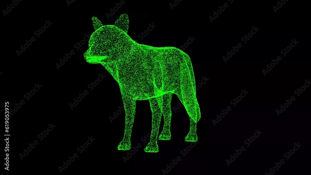 3D fox rotates on black bg. Wild animals concept. Protection of the ...