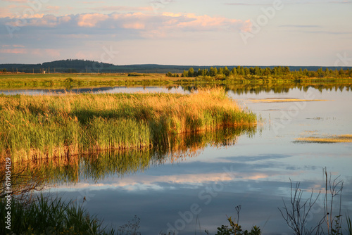 Summer landscape - riverbanks overgrown with reeds, colorful sunset on the river.
