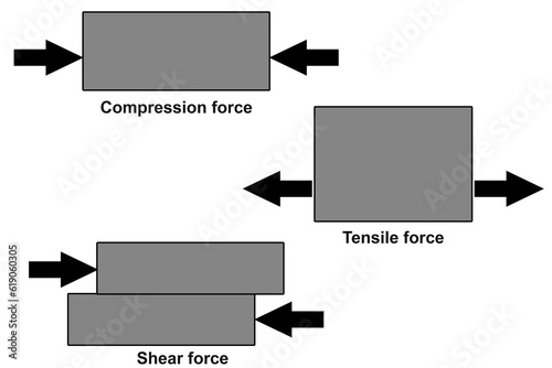 Display of tension, compression and shear forces