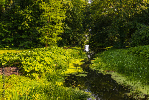 Lutynia river in beautiful garden in Smielow. Poland.