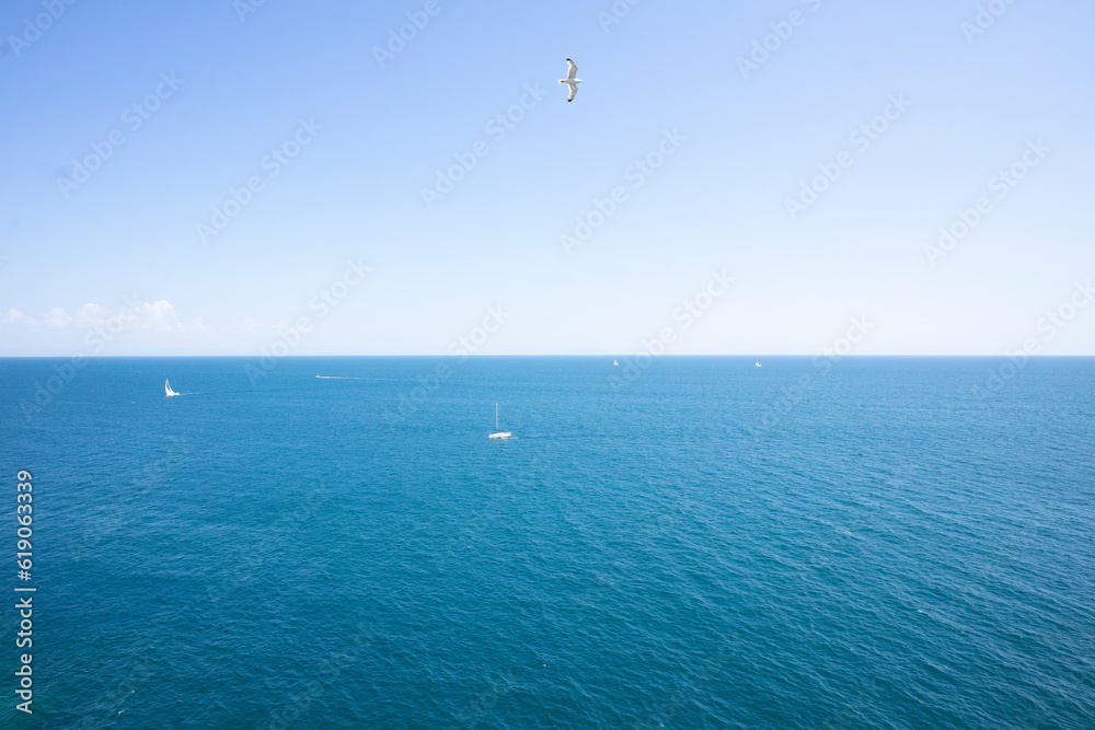 sea with boat and seagull under a blue sky