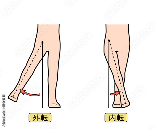 外転・内転