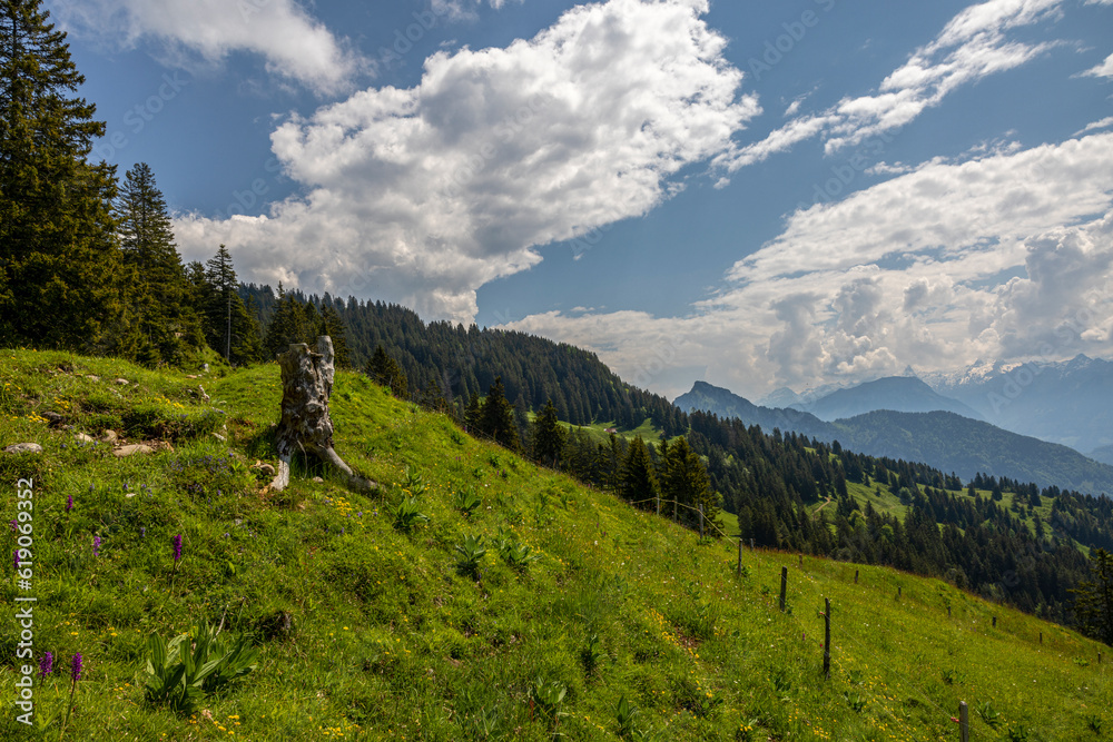 Rigi Scheidegg - ein Berggipfel des Rigi-Massivs am Vierwaldstättersee in der Schweiz