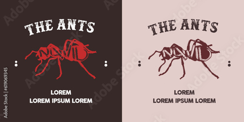 illustration of scribble ants