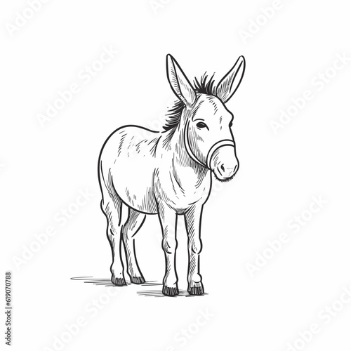 Donkey hand-drawn illustration. Donkey. Vector doodle style cartoon illustration