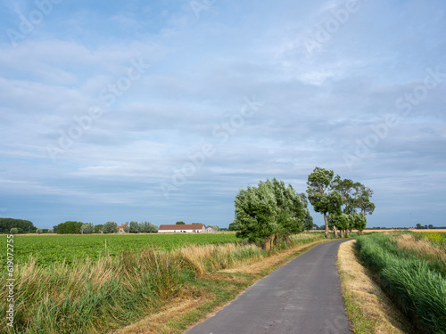 country road with trees and old farm in belgian province of west flanders