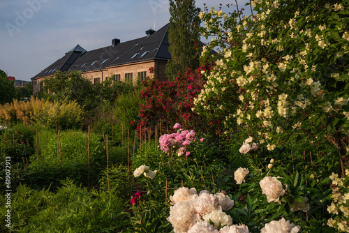 The University Botanical Garden (Botanisk hage) is Norway's oldest botanical garden, a free oasis and a great place to escape the noise of the Oslo.