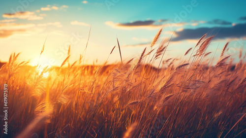 Glowing  Grass  Sunset  Sunlight  Nature  Scenic  Golden hour  Sun rays