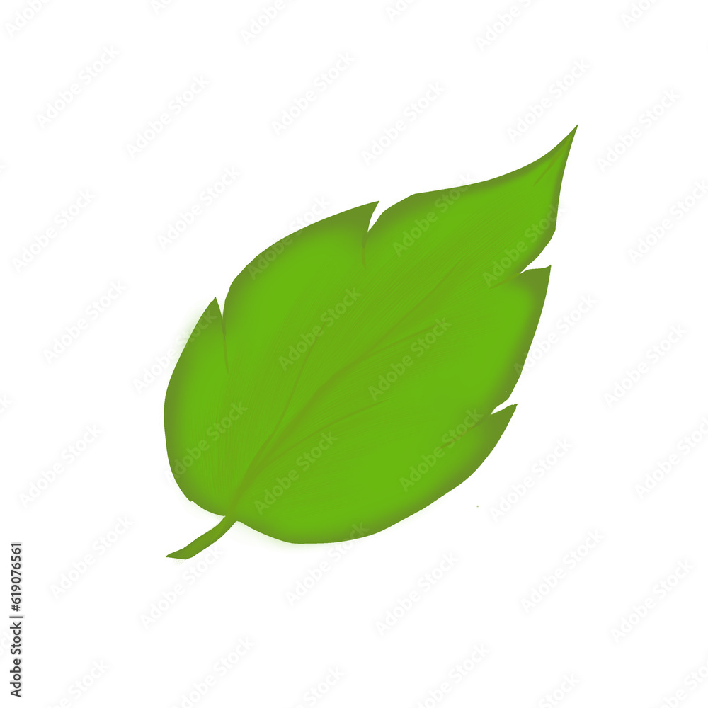 My leaf