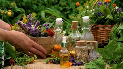 plant and herb tinctures and extracts. Selective focus.