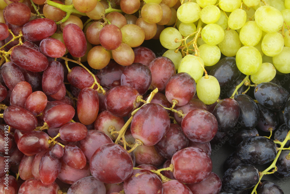 Many kinds of grape as background. Many kinds of grape as background.