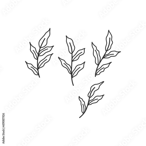 Floral branch and minimalist leaves for logo or tattoo. Hand drawn line wedding herb  elegant wildflowers. Minimal line art drawing for print  cover or wallpaper