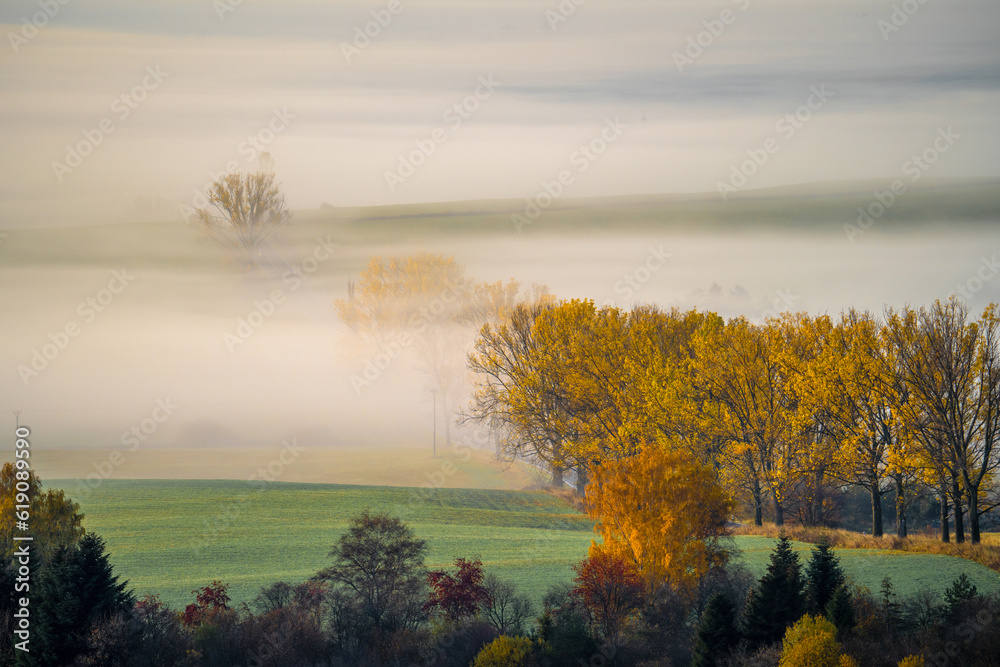 Foggy Autumn Morning in Rural Landscape.Foggy Autumn Morning in Rural Landscape