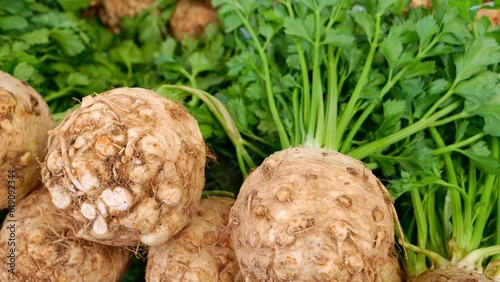celery roots, celery, root vegetable - component for smoothies, Proper nutrition, food and health, vitamins and minerals in vegetables and seasonings.