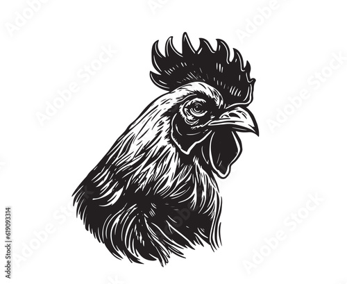 Rooster's head vector sketch line drawing black on white
