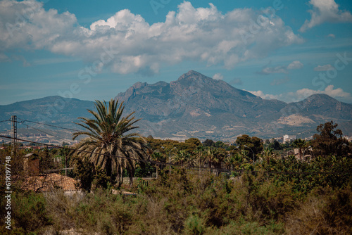 mountains  palm trees  vegetation  Alicante  sunny weather  Spain  summer  resort  rest  sky  clouds  fair weather