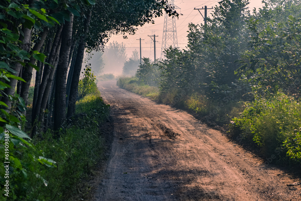 Naklejka premium The dirt road in the fields at sunrise in the early morning