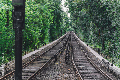 Train Tracks in the middle of a forest