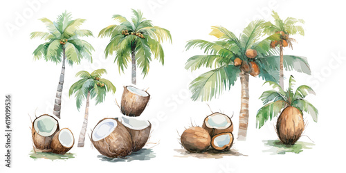 watercolor coconut tree clipart for graphic resources