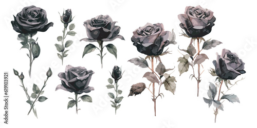 watercolor black rose clipart for graphic resources