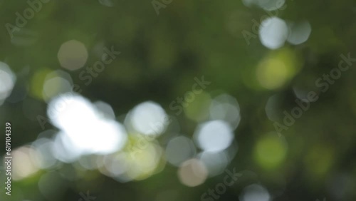 Abstract Bokeh background. Nature Blurred background.
