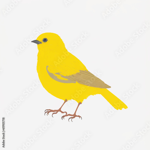 Canary bird vector illustration Isolated on a white background