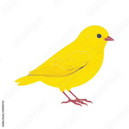 Canary bird vector illustration Isolated on a white background
