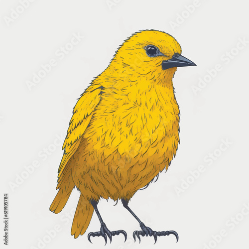 Canary bird vector illustration Isolated on a white background