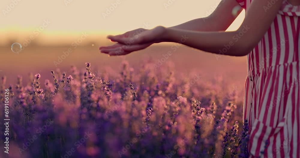 Sunset over lavender field and beautiful girl, woman with long hair and red dress play with bubbles  and flowers 4K video