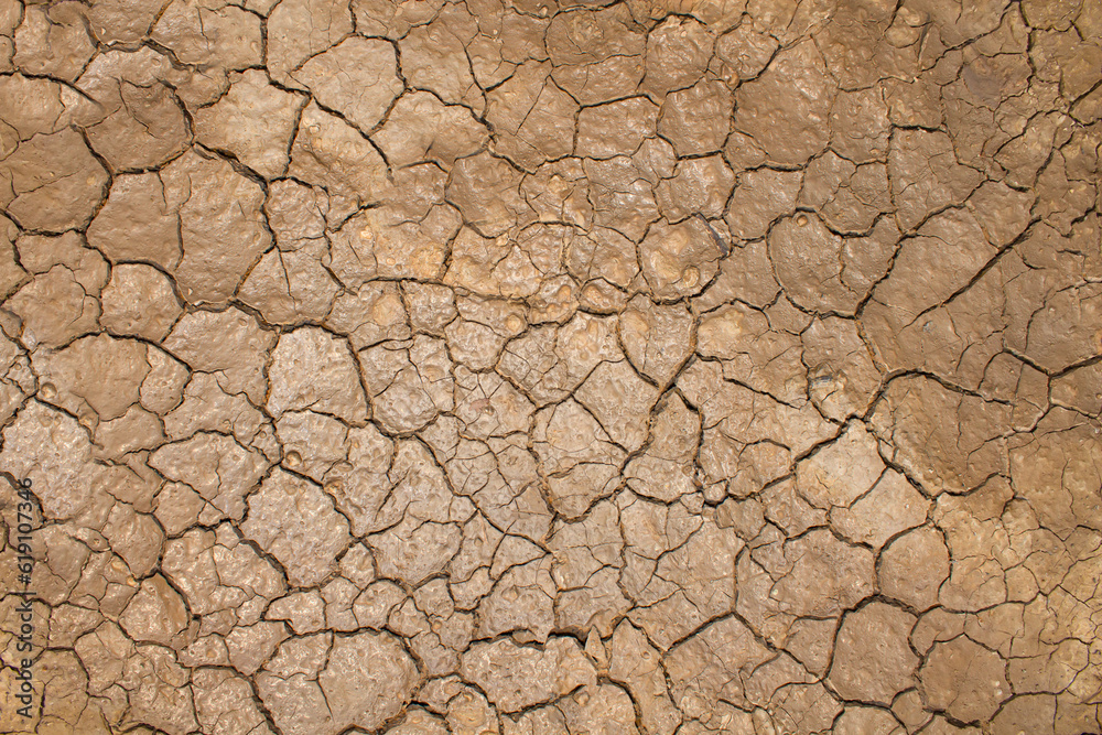 Dry cracked soil texture and background of ground Dry cracked soil texture and background of ground
