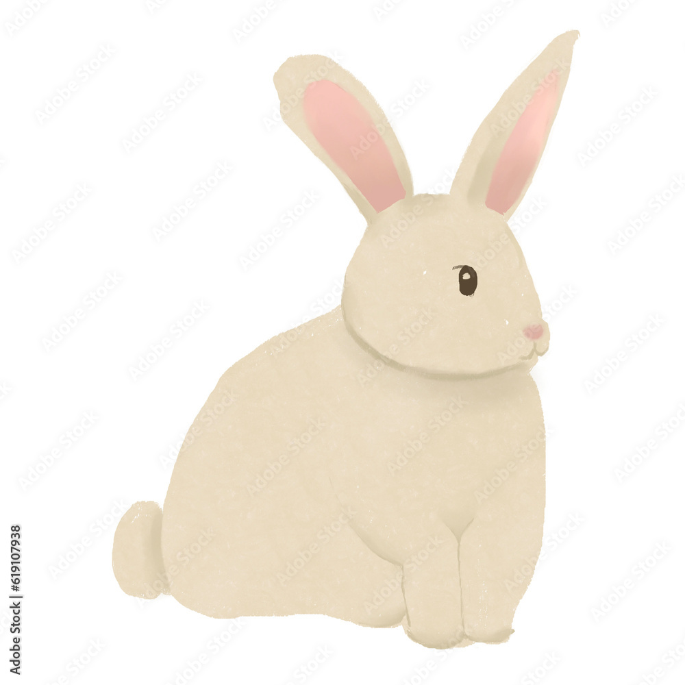 Obraz premium Rabbit