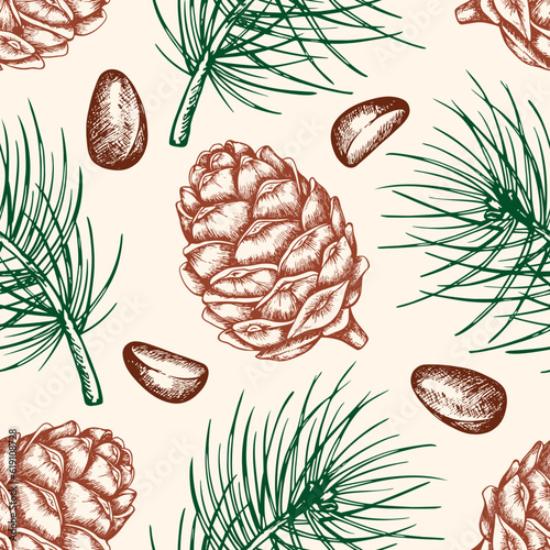 Seamless pattern with pine cone and nuts. photo
