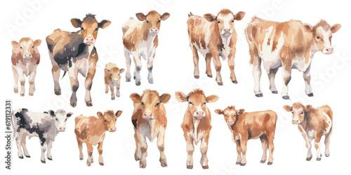 watercolor baby cow clipart for graphic resources © Dgillustration12u