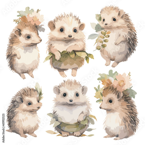 watercolor baby hedgehog clipart for graphic resources