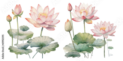 watercolor lotus plant clipart for graphic resources