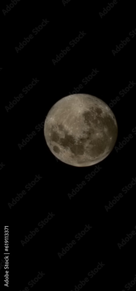 Fototapeta premium moon in the night