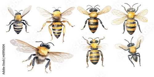 watercolor bee clipart for graphic resources