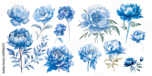 watercolor blue peony clipart for graphic resources