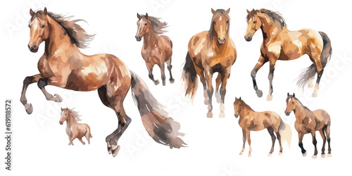 watercolor brown horse clipart for graphic resources