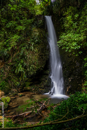 waterfall in the jungle