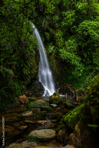 waterfall in the jungle