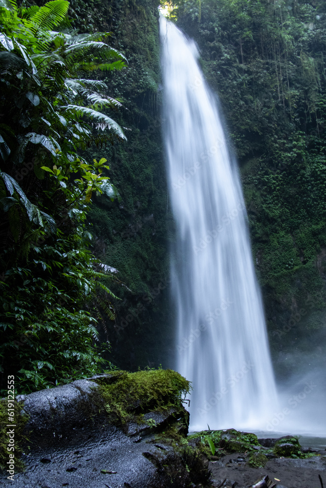Waterfall in a Tropical Jungle - Bali, Indonesia Waterfall in a Tropical Jungle - Bali, Indonesia