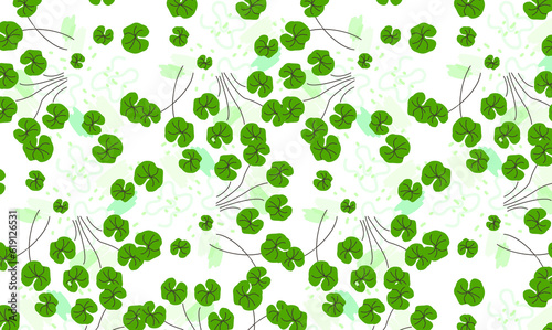 centella asiatica pattern background or texture