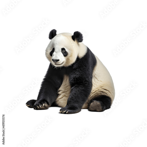 Giant panda bear sitting isolated on transparent background, Generative AI