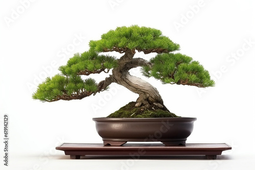 Bonsai pine tree on white background.Generative Ai.
