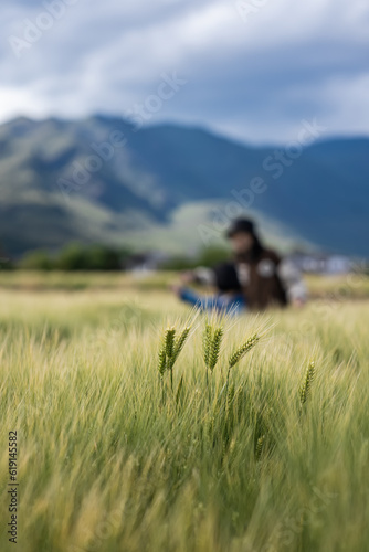 NaturalSceneryoftheYunnan-GuizhouPlateauinChina